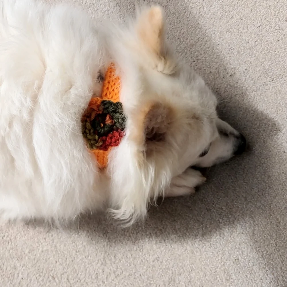 Pet Dog Collar Covers Fall Orange Brown Floral